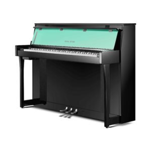 C101B